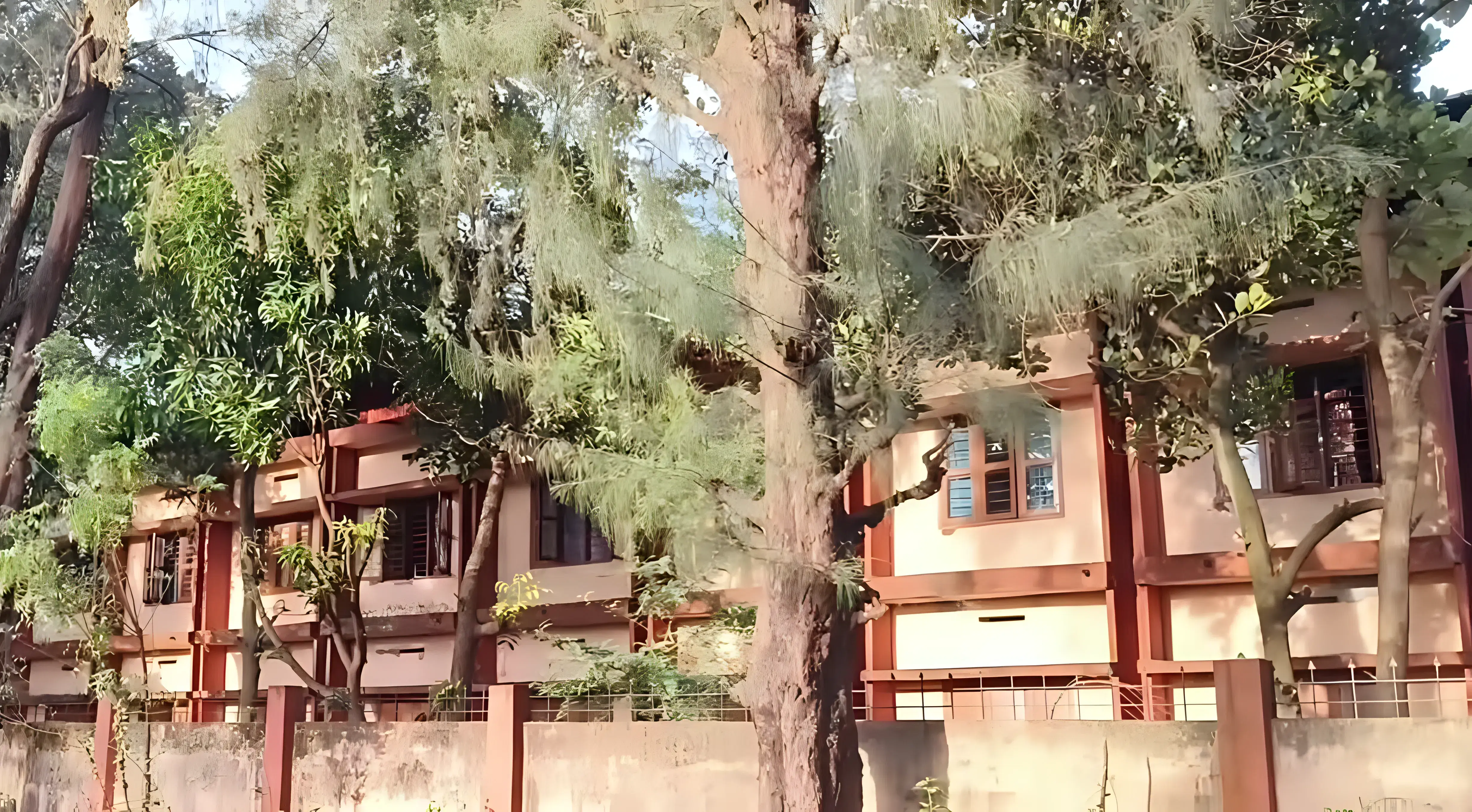 NSS College of Engineering Palakkad Campus photo 1